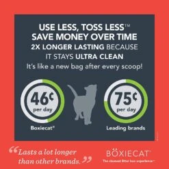 Boxiecat Extra Strength Clay Cat Litter - 40 Lbs -Weruva Shop boxiecat extra strength clay cat litter 40 lbs 117715