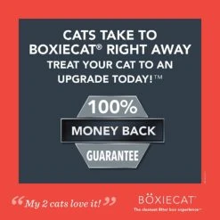 Boxiecat Extra Strength Clay Cat Litter - 40 Lbs -Weruva Shop boxiecat extra strength clay cat litter 40 lbs 644508