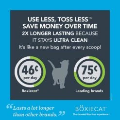 Boxiecat Scent-Free Clay Cat Litter - 40 Lbs -Weruva Shop boxiecat scent free clay cat litter 40 lbs 137331