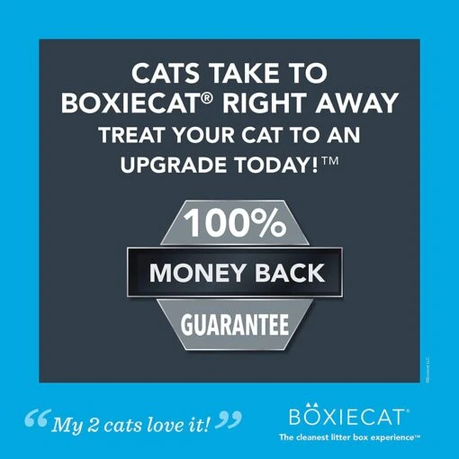 Boxiecat Scent-Free Clay Cat Litter - 40 Lbs -Weruva Shop boxiecat scent free clay cat litter 40 lbs 768899