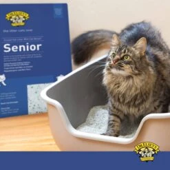 Dr. Elsey’s® Senior Cat Litter - 8 Lbs -Weruva Shop dr elseysr senior cat litter 8 lbs 118764