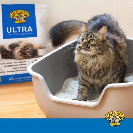 Dr. Elsey’s® Ultra Precious Scoopable Cat Litter - 18 Lbs -Weruva Shop dr elseysr ultra precious scoopable cat litter 18 lbs 428378