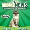 Fresh News Fresh News Cat Litter - 4 Lb Bag - 6 Count -Weruva Shop fresh news fresh news cat litter 4 lb bag 6 count 592732