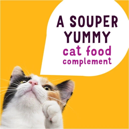 Friskies Natural Grain-Free Lil' Soups With Shrimp In Chicken Broth Cat Food Compliment -Weruva Shop friskies natural grain free lil soups with shrimp in chicken broth cat food compliment 348663