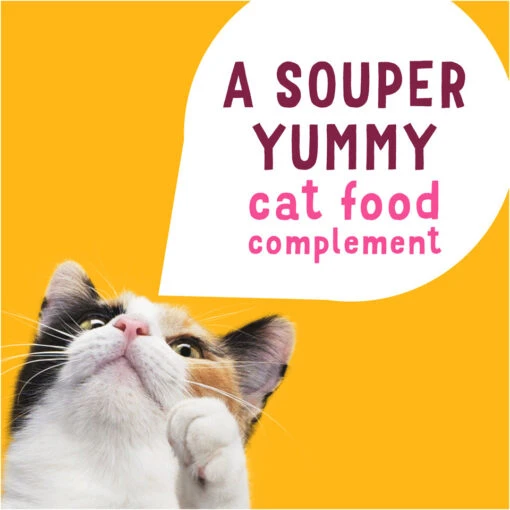 Friskies Natural Grain-Free Lil' Soups With Sockeye Salmon In Chicken Broth Cat Food Compliment -Weruva Shop friskies natural grain free lil soups with sockeye salmon in chicken broth cat food compliment 972387