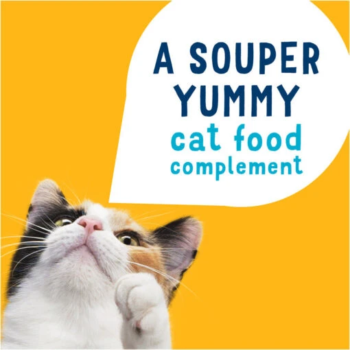 Friskies Natural Grain-Free Lil' Soups With Tuna In Chicken Broth Cat Food Compliment -Weruva Shop friskies natural grain free lil soups with tuna in chicken broth cat food compliment 798072