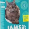 Iams ProActive Health Indoor Weight Hairball Dry Cat Food - 7 Lb Bag -Weruva Shop iams proactive health indoor weight hairball 4 per bale dry cat food 7 lb bag 719914