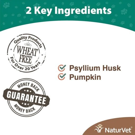 Naturvet Hairball Plus Pumpkin Cat Chewy Supplements - 100 Ct Cup -Weruva Shop naturvet hairball plus pumpkin cat chewy supplements 100 ct cup 530937