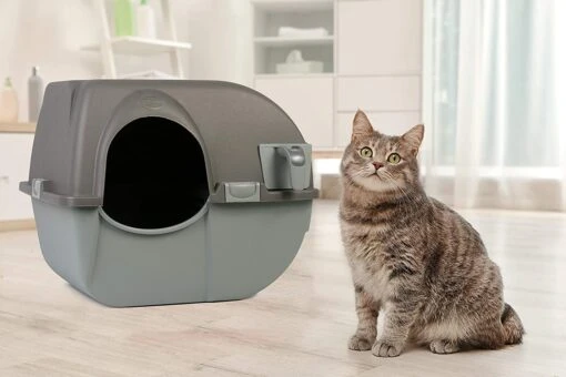 Omega Paw Omega Paw Self-Cleaning Cat Litter Box - Brown/Taupe - Medium -Weruva Shop omega paw omega paw self cleaning cat litter box browntaupe medium 538711