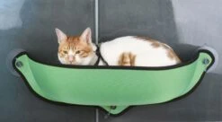 Pet Life ® 'Gravity-Lounge' Suction Cup Kitty Cat Lounger And Bed -Weruva Shop pet life r gravity lounge suction cup kitty cat lounger and bed 976640