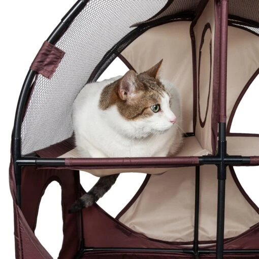 Pet Life ® 'Kitty-Play' Collapsible Travel Interactive Kitty Cat Tree Maze House Lounger Tunnel Lounge -Weruva Shop pet life r kitty play collapsible travel interactive kitty cat tree maze house lounger tunnel lounge 142187