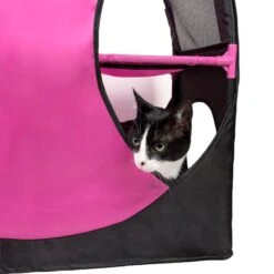 Pet Life ® 'Kitty-Play' Collapsible Travel Interactive Kitty Cat Tree Maze House Lounger Tunnel Lounge -Weruva Shop pet life r kitty play collapsible travel interactive kitty cat tree maze house lounger tunnel lounge 275973