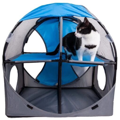 Pet Life ® 'Kitty-Play' Collapsible Travel Interactive Kitty Cat Tree Maze House Lounger Tunnel Lounge -Weruva Shop pet life r kitty play collapsible travel interactive kitty cat tree maze house lounger tunnel lounge 279457