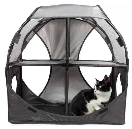 Pet Life ® 'Kitty-Play' Collapsible Travel Interactive Kitty Cat Tree Maze House Lounger Tunnel Lounge -Weruva Shop pet life r kitty play collapsible travel interactive kitty cat tree maze house lounger tunnel lounge 280848