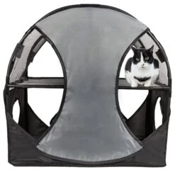 Pet Life ® 'Kitty-Play' Collapsible Travel Interactive Kitty Cat Tree Maze House Lounger Tunnel Lounge -Weruva Shop pet life r kitty play collapsible travel interactive kitty cat tree maze house lounger tunnel lounge 490090