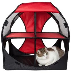 Pet Life ® 'Kitty-Play' Collapsible Travel Interactive Kitty Cat Tree Maze House Lounger Tunnel Lounge -Weruva Shop pet life r kitty play collapsible travel interactive kitty cat tree maze house lounger tunnel lounge 604752