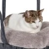 Pet Life ® 'Kittyhaus' Dual-Lounge Hanging Relaxing Kitty Cat Pillow Bed Hammock Lounger -Weruva Shop pet life r kittyhaus dual lounge hanging relaxing kitty cat pillow bed hammock lounger 439205