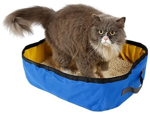 Pet Life ® 'Litter Go' Travel Folding Waterproof Kitty Cat Litterbox And Bath -Weruva Shop pet life r litter go travel folding waterproof kitty cat litterbox and bath 870743