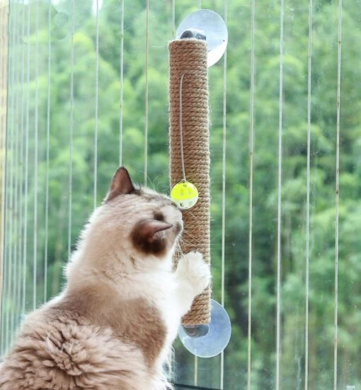 Pet Life ® 'Stick N' Claw' Sisal Rope And Toy Suction Cup Stick Shaped Cat Scratcher -Weruva Shop pet life r stick n claw sisal rope and toy suction cup stick shaped cat scratcher 436088