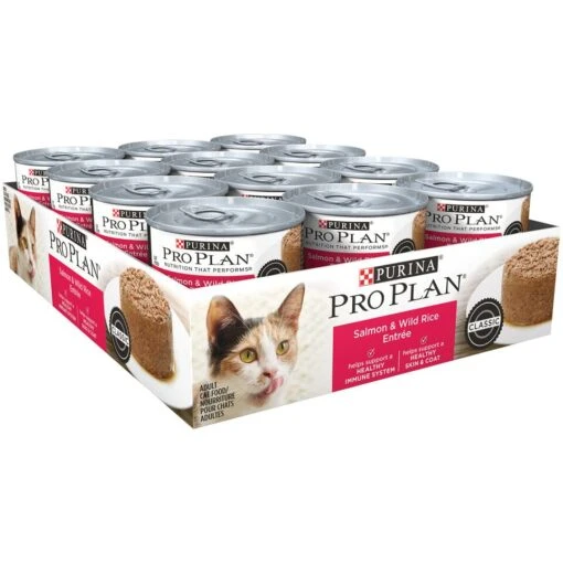 Purina Pro Plan Pate Salmon & Wild Rice Entree Wet Cat Food -Weruva Shop purina pro plan pate salmon wild rice entree wet cat food 530019