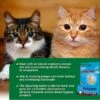 Ramard Ramard Plaque Re-Lease Oral Care For Cats - 31 Count -Weruva Shop ramard ramard plaque re lease oral care for cats 31 count 610752