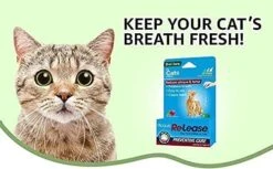 Ramard Ramard Plaque Re-Lease Oral Care For Cats - 31 Count -Weruva Shop ramard ramard plaque re lease oral care for cats 31 count 986114