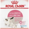 Royal Canin Mother And Babycat 34 Dry Cat Food -Weruva Shop royal canin mother and babycat 34 dry cat food 201873