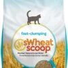 Swheat Scoop Fast Clumping Wheat Regular Cat Litter - 25 Lb Bag -Weruva Shop swheat scoop fast clumping wheat regular cat litter 25 lb bag 774074