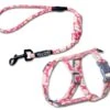 Touchcat 'Radi-Claw' Durable Cable Cat Harness And Leash Combo -Weruva Shop touchcat radi claw durable cable cat harness and leash combo 791089