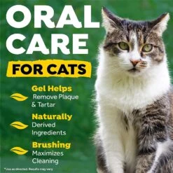 Tropiclean Fresh Breath Cat Oral Care Kit - 2 Oz -Weruva Shop tropiclean fresh breath cat oral care kit 2 oz 104479