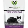 Vetriscience Labs Immune Support VetriLysine Plus Chewable Cat Supplements - 90 Ct Pouch -Weruva Shop vetriscience labs immune support vetrilysine plus chewable cat supplements 90 ct pouch 560970