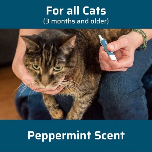 Wondercide Flea & Tick Spot On Spray For Cats - Peppermint -Weruva Shop wondercide flea tick spot on spray for cats peppermint 130180